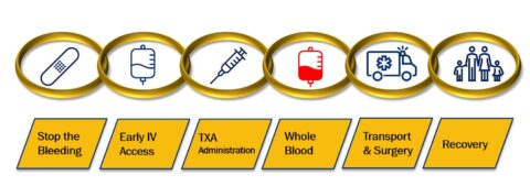 Photo of Whole blood chain of survival 