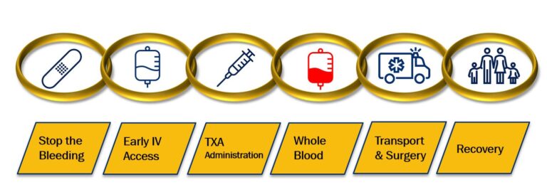 Photo of Whole blood chain of survival